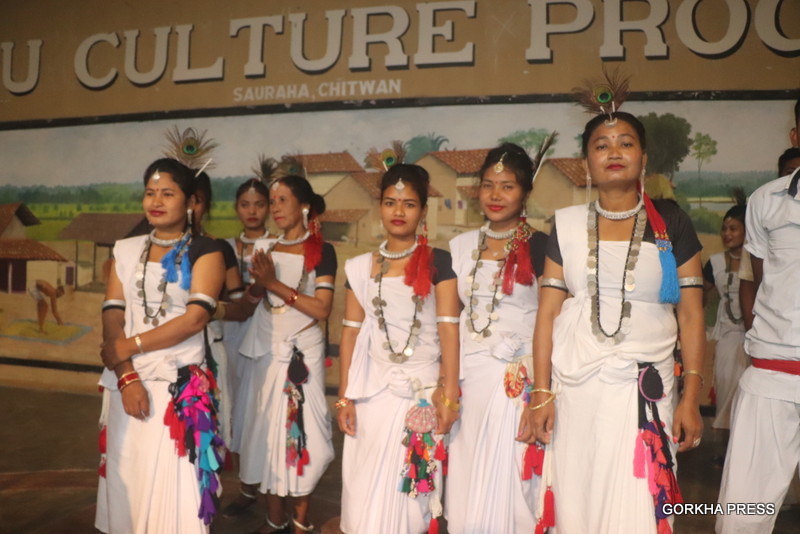 उनीहरुले हरेक दिन साँझ ७ बजेदेखि ९ बजेसम्म यो नाँच देखाउने गरेका छन् । 